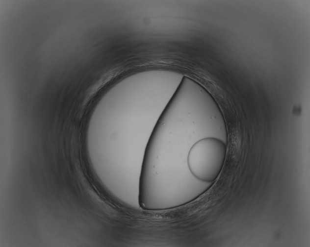 X0000091720734200708241020