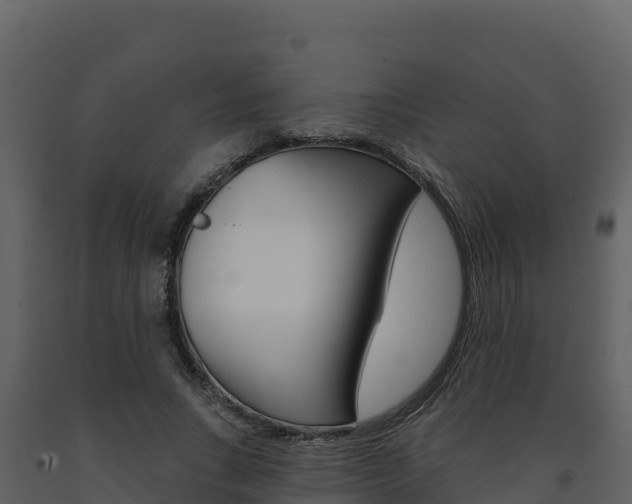 X0000091720735200708241020