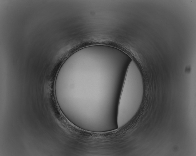 X0000091720736200708241020