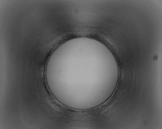 X0000091720737200708241020