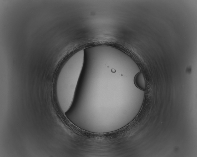 X0000091720738200708241020