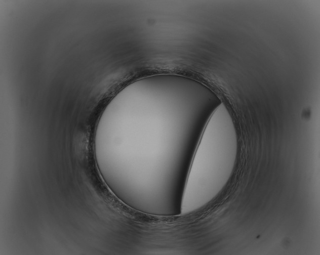 X0000091720739200708241020