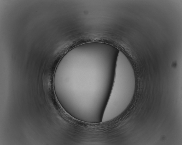 X0000091720740200708241020