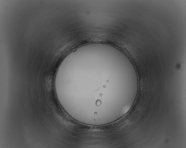 X0000091720741200708241020
