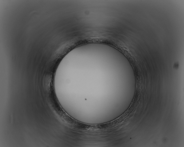 X0000091720742200708241020