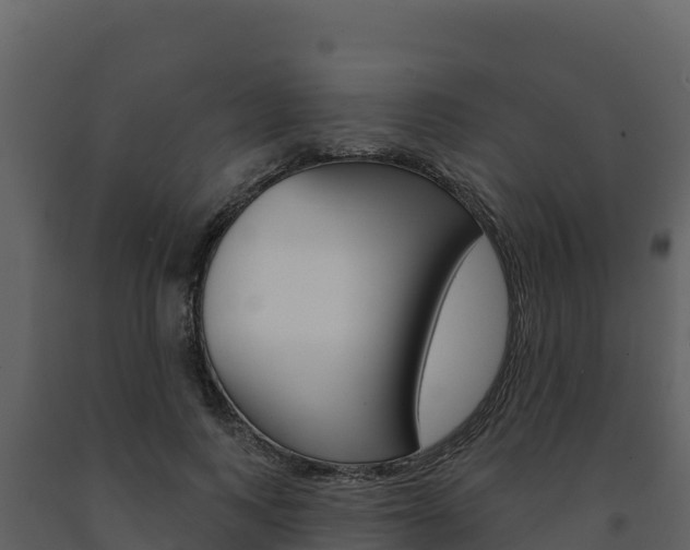 X0000091720743200708241020