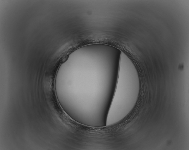 X0000091720744200708241020