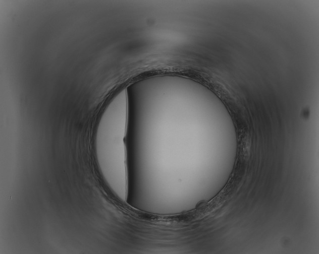 X0000091720746200708241020