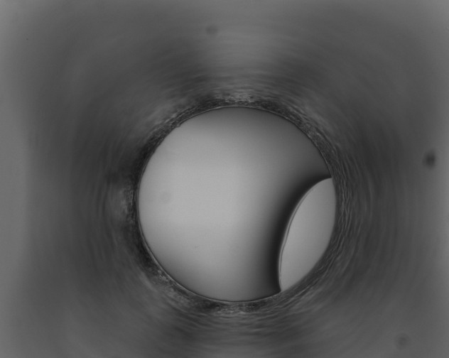 X0000091720747200708241020