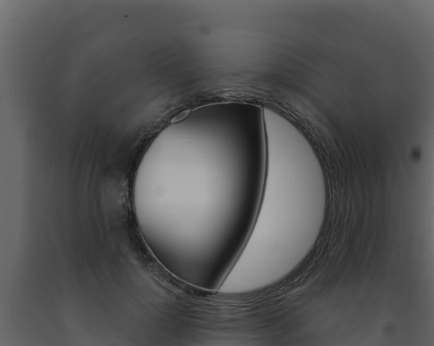 X0000091720748200708241020