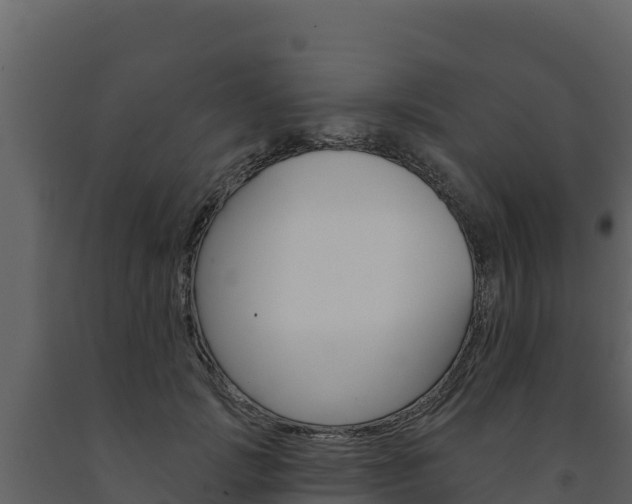 X0000091720749200708241020