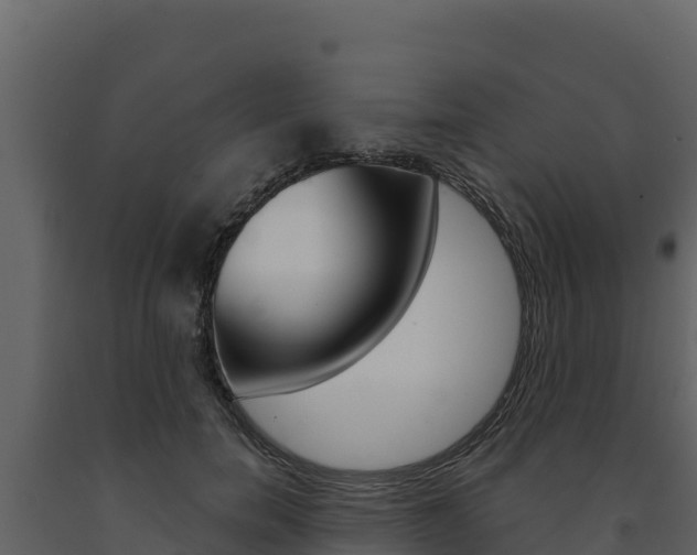 X0000091720750200708241020