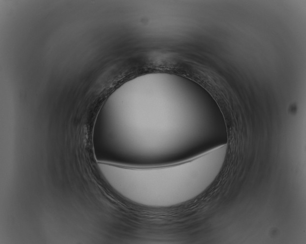 X0000091720752200708241020