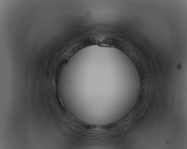 X0000091720754200708241020