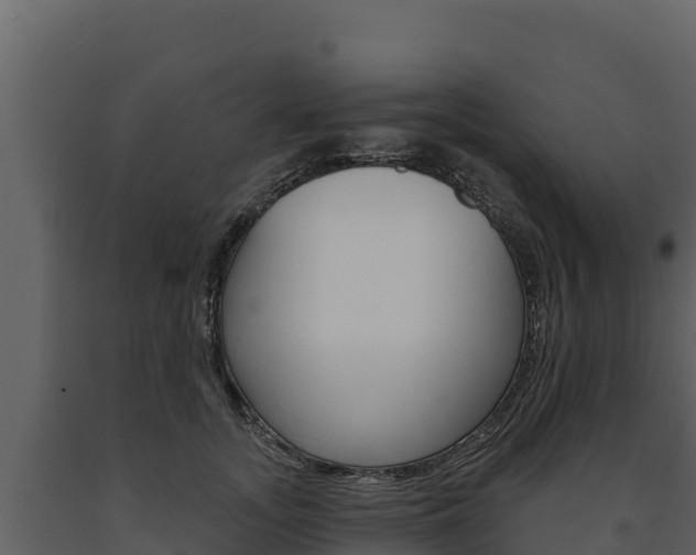 X0000091720755200708241020