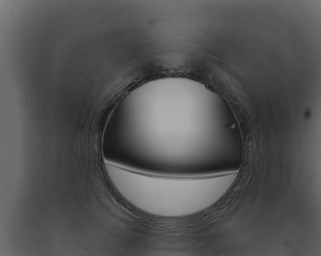 X0000091720756200708241020