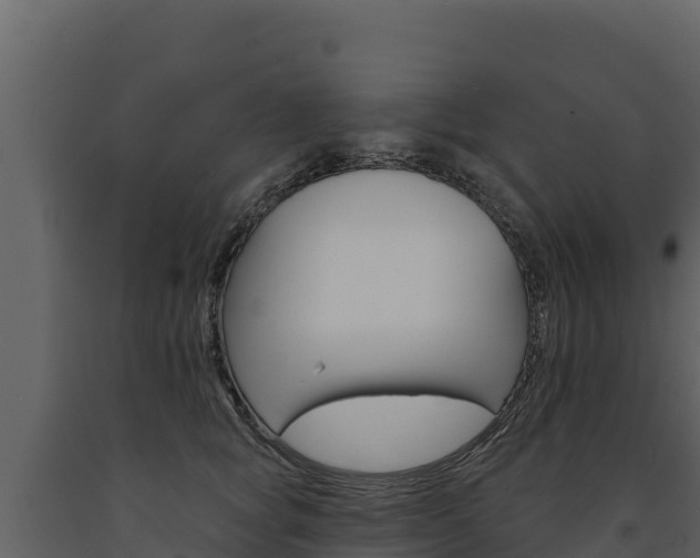 X0000091720757200708241020