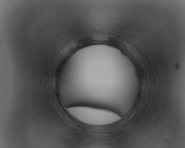 X0000091720758200708241020