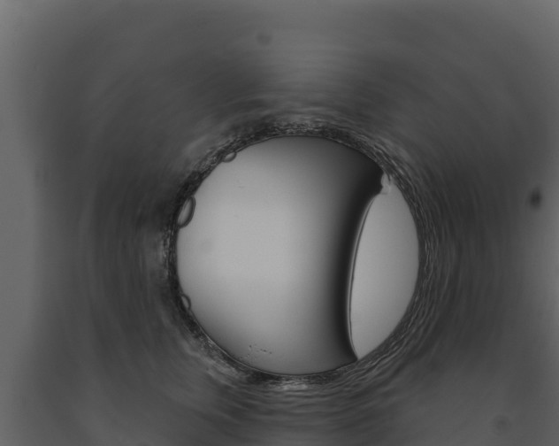 X0000091720759200708241020