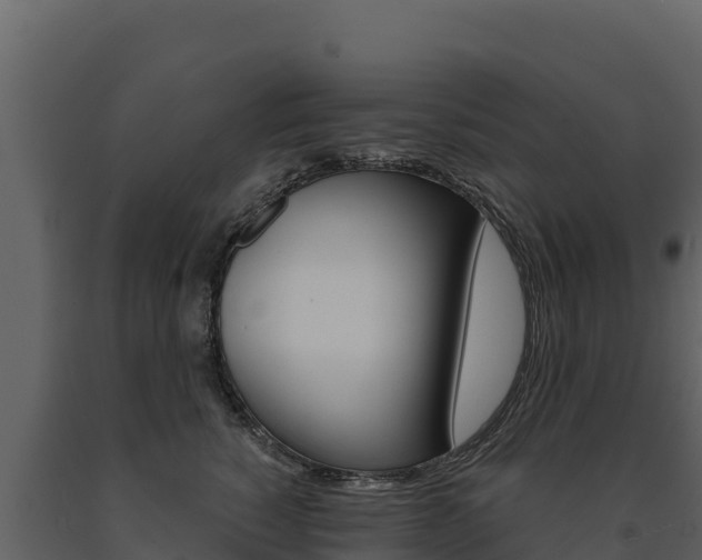 X0000091720760200708241020