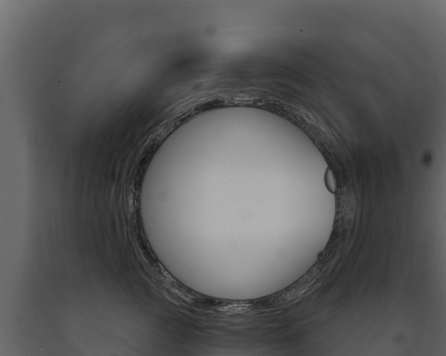 X0000091720761200708241020
