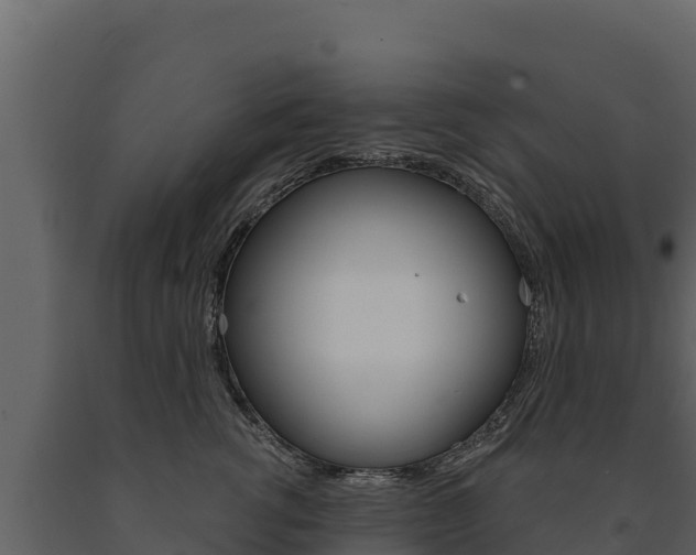 X0000091720762200708241020