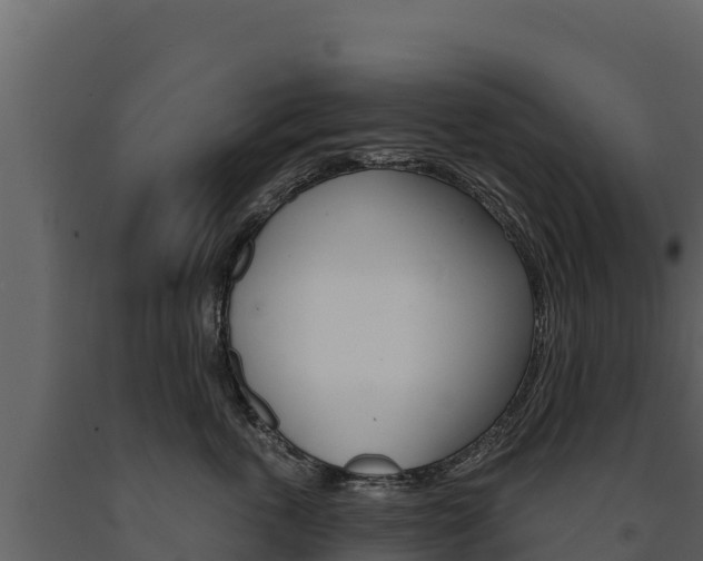 X0000091720763200708241020