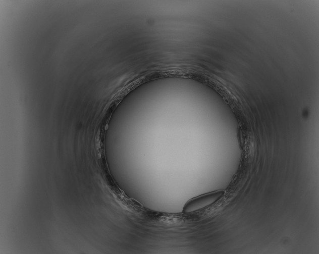X0000091720764200708241020