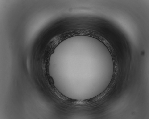 X0000091720765200708241020