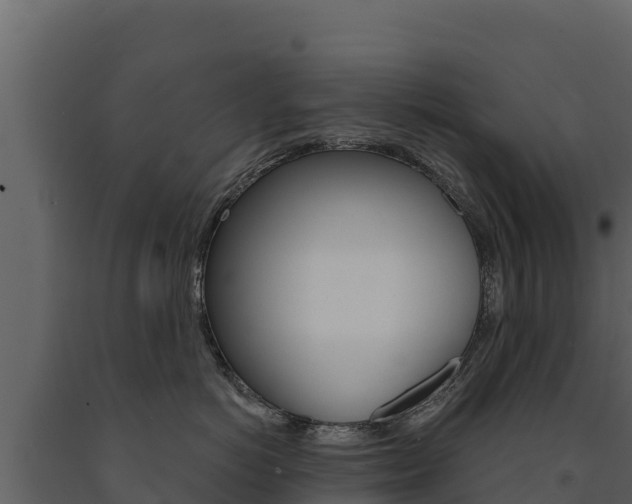 X0000091720766200708241020