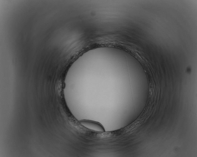 X0000091720767200708241020