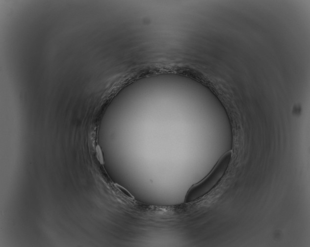 X0000091720768200708241020