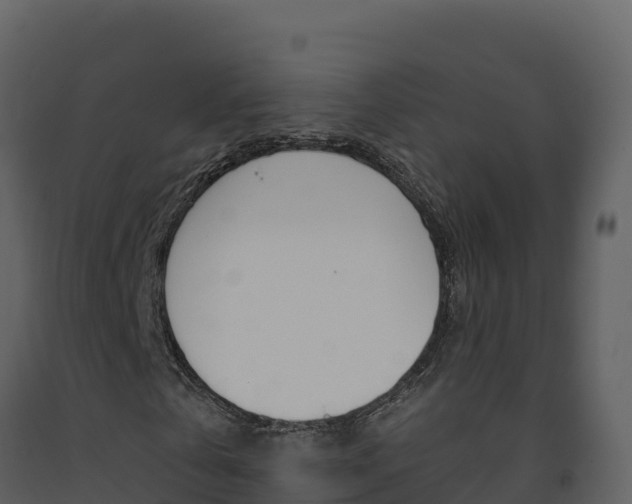 X0000091720769200708241019