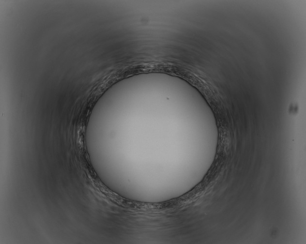 X0000091720770200708241019