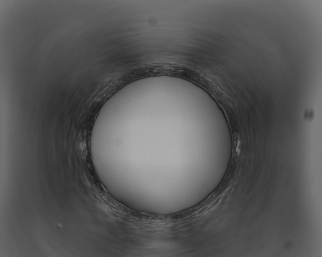 X0000091720771200708241019