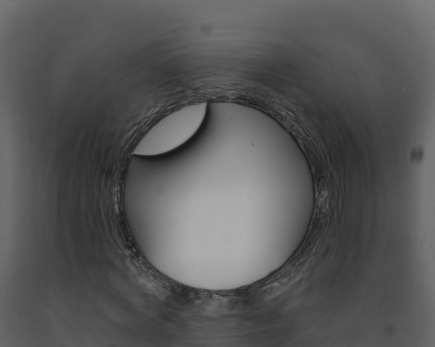 X0000091720772200708241019