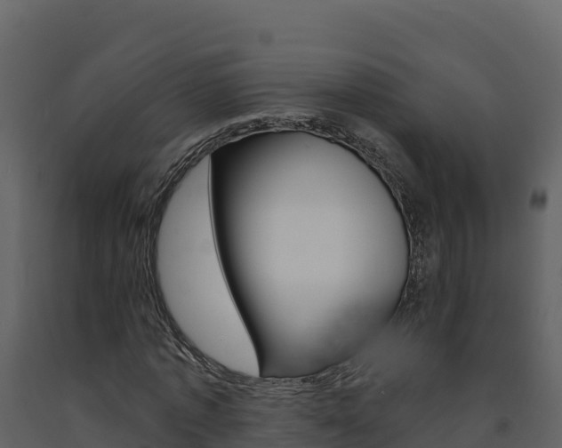 X0000091720773200708241019