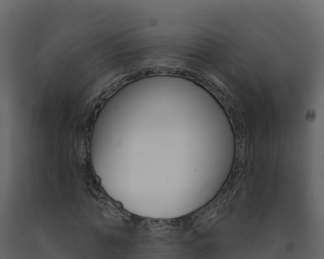 X0000091720774200708241019