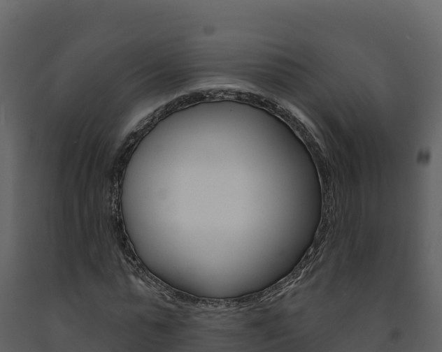 X0000091720775200708241019