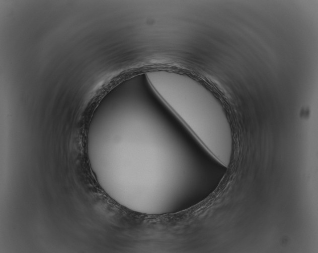 X0000091720776200708241019