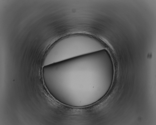 X0000091720777200708241019