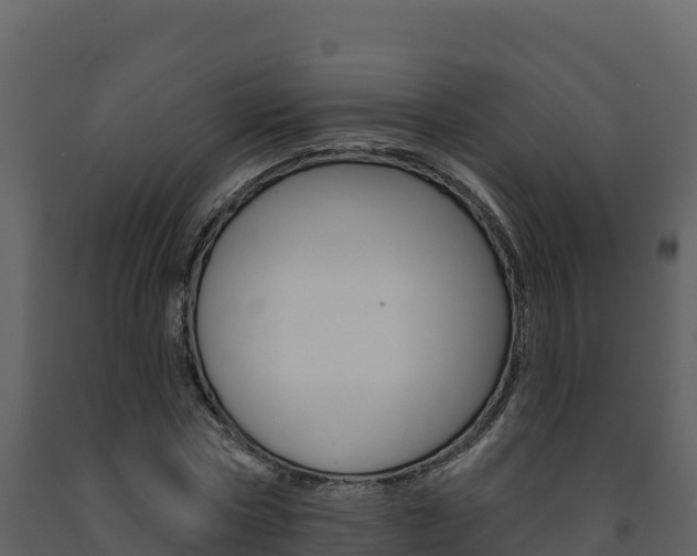 X0000091720778200708241019