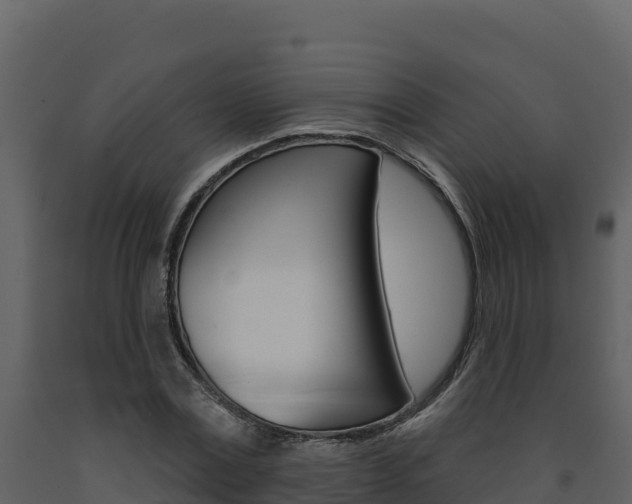 X0000091720779200708241019