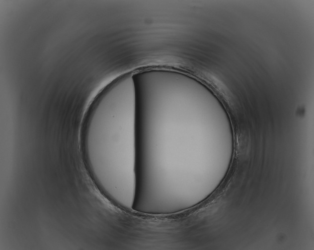 X0000091720780200708241019