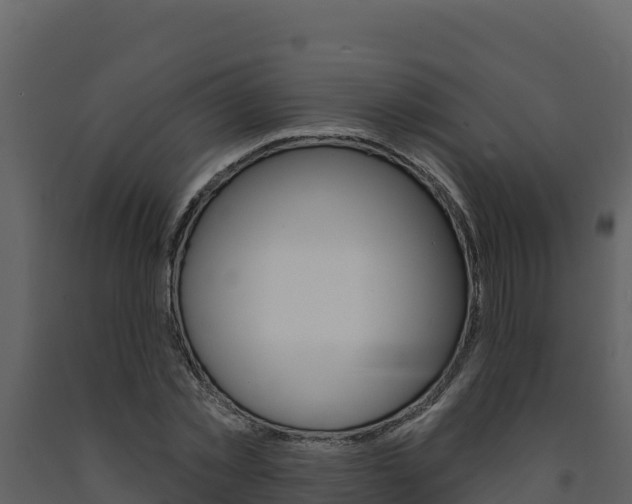 X0000091720781200708241019