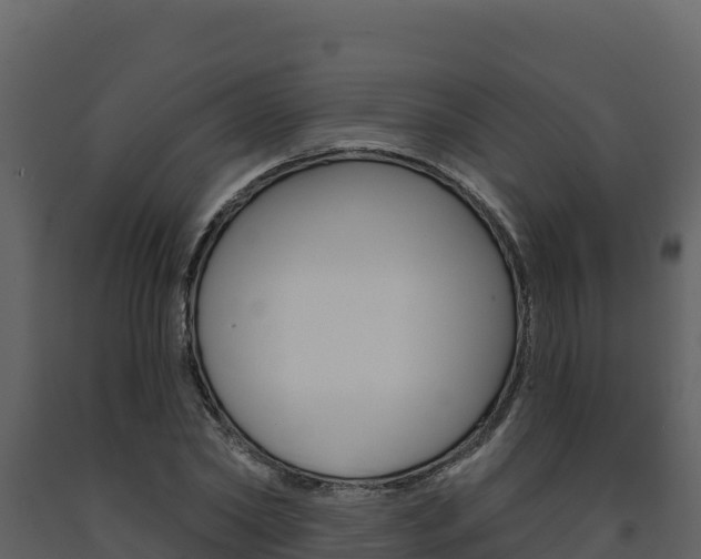 X0000091720782200708241019