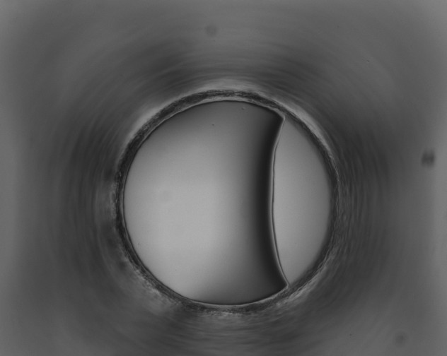 X0000091720783200708241019