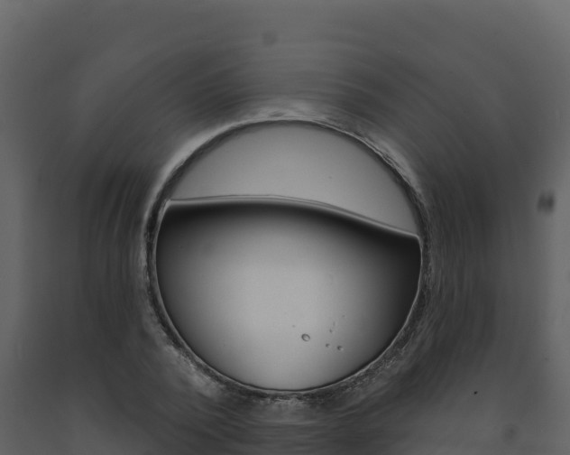 X0000091720784200708241019