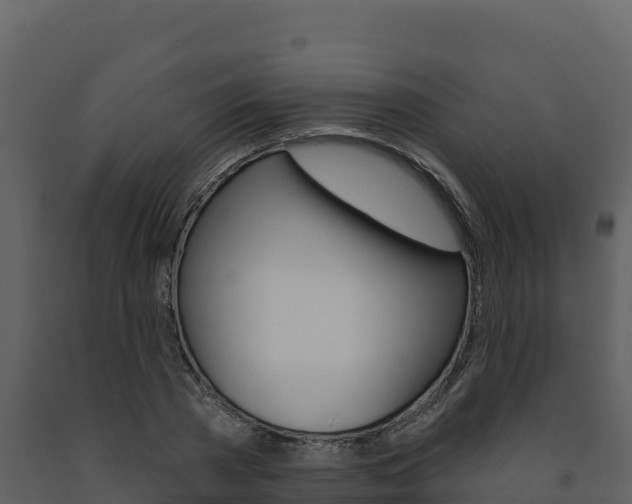 X0000091720785200708241019