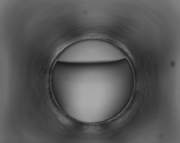 X0000091720786200708241019
